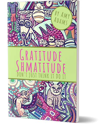 Gratitude Shmatitude! Don't just think it, do it! Book on how to practice gratitude